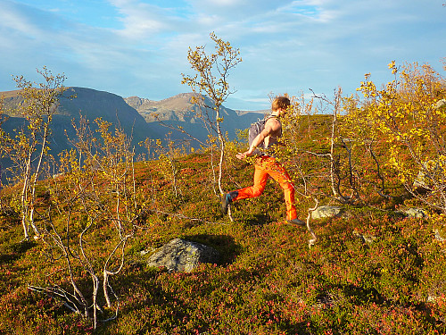 Litt løping i skogen