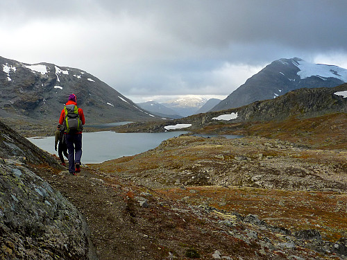 Utsikten vestover