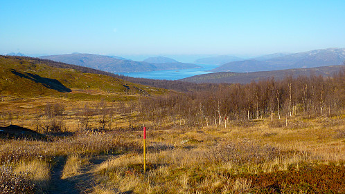 På stien fra Tønsvika til Nonsbu. 