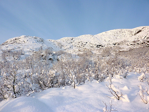 På normal(vinter)ruten opp Buren