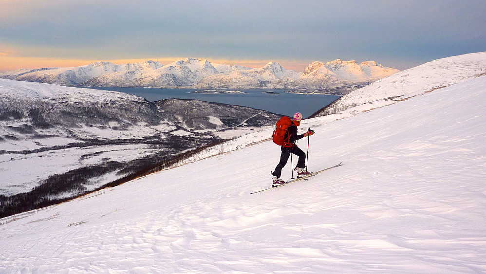 Trine på ryggen oppover, Ringvassøya i bakgrunne