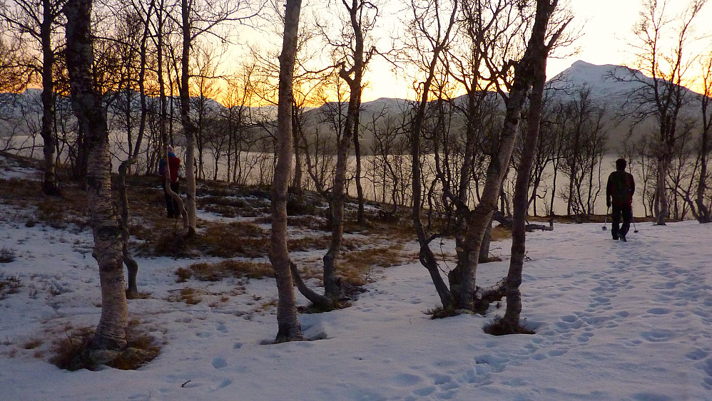 Nede i skogen igjen.
