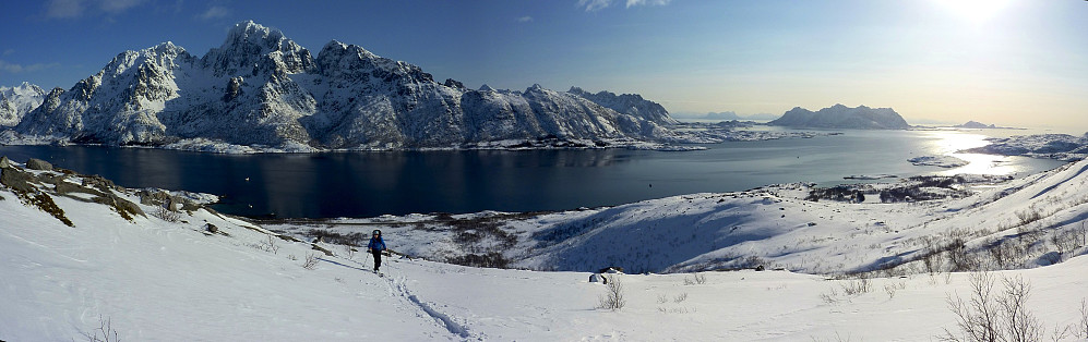 Panorama from the lower slopes on Stampen, view straight across Austnesfjorden towards Rulten.