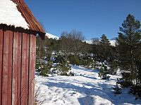 ligroenb_20150222_54ea47dab4485.jpg