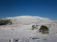 ligroenb_20150222_54ea48520bad6.jpg