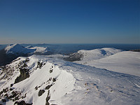 ligroenb_20150222_54ea48c04d215.jpg