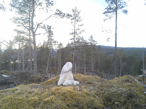 Toppunkt Åsen 228