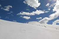 ligroenb_20150428_553fef998fcac.jpg