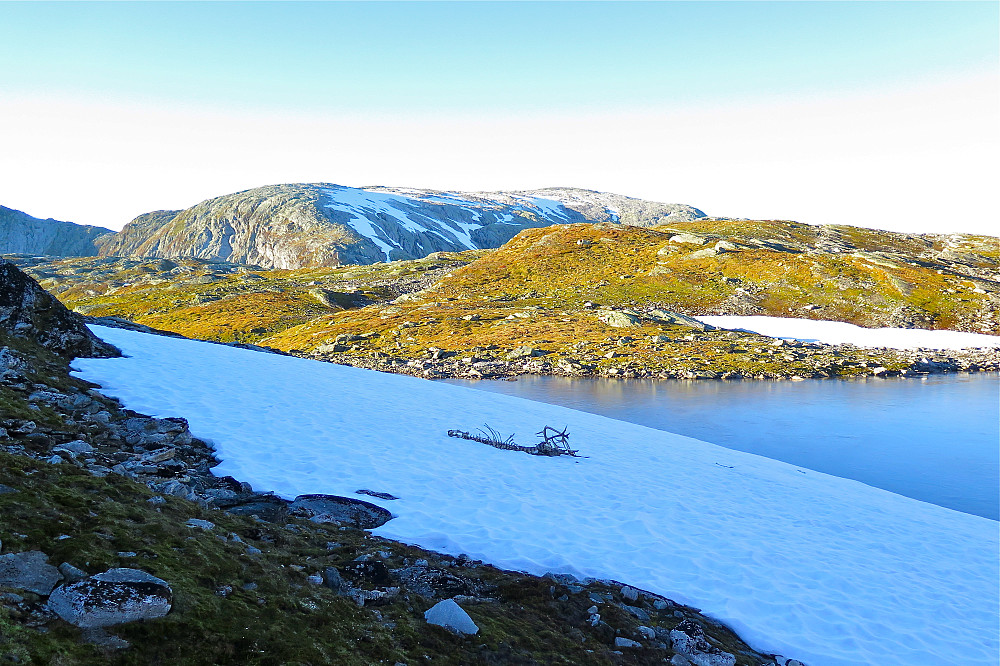 Liv som har gått tapt...Vardevatnet mot Holsa-Tverrfjelelt