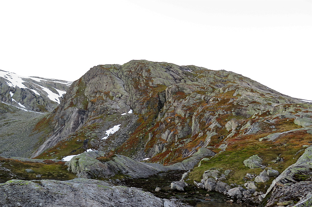 Svartefjellet 1195