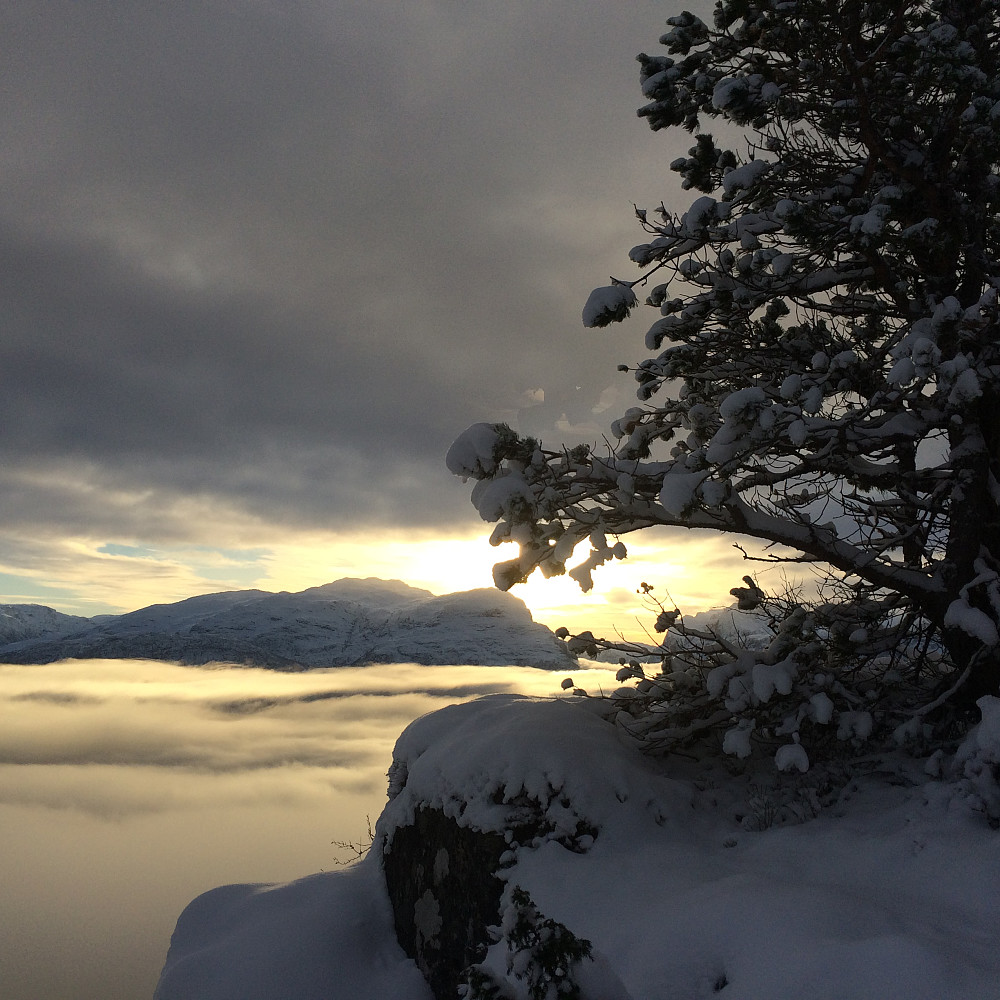 nordfjorden mot Hyen