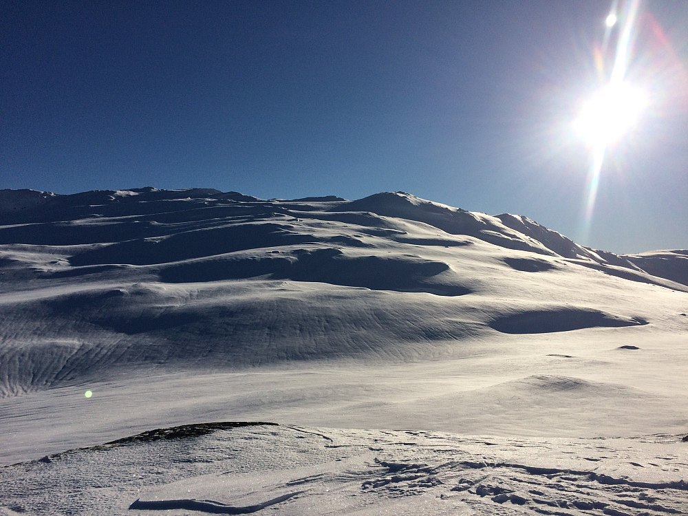 Mot Svartegga