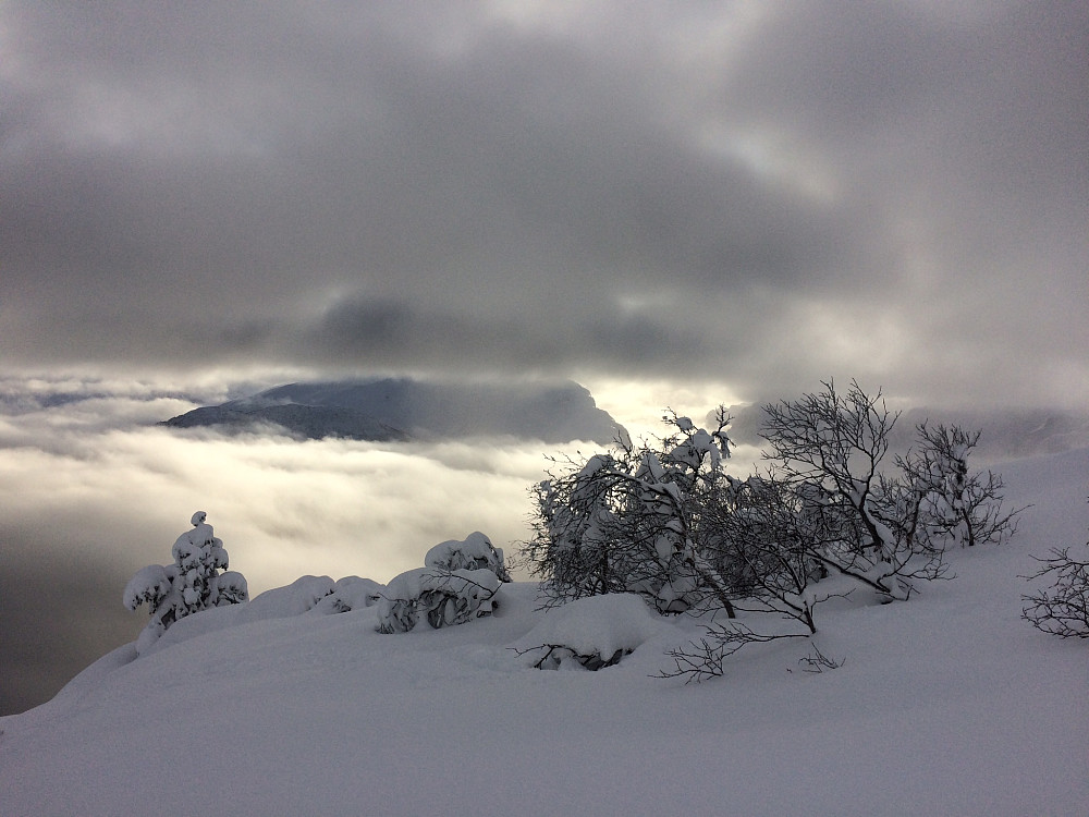 nydelig skue mot Hyefjorden og Eikeneshesten over skodda