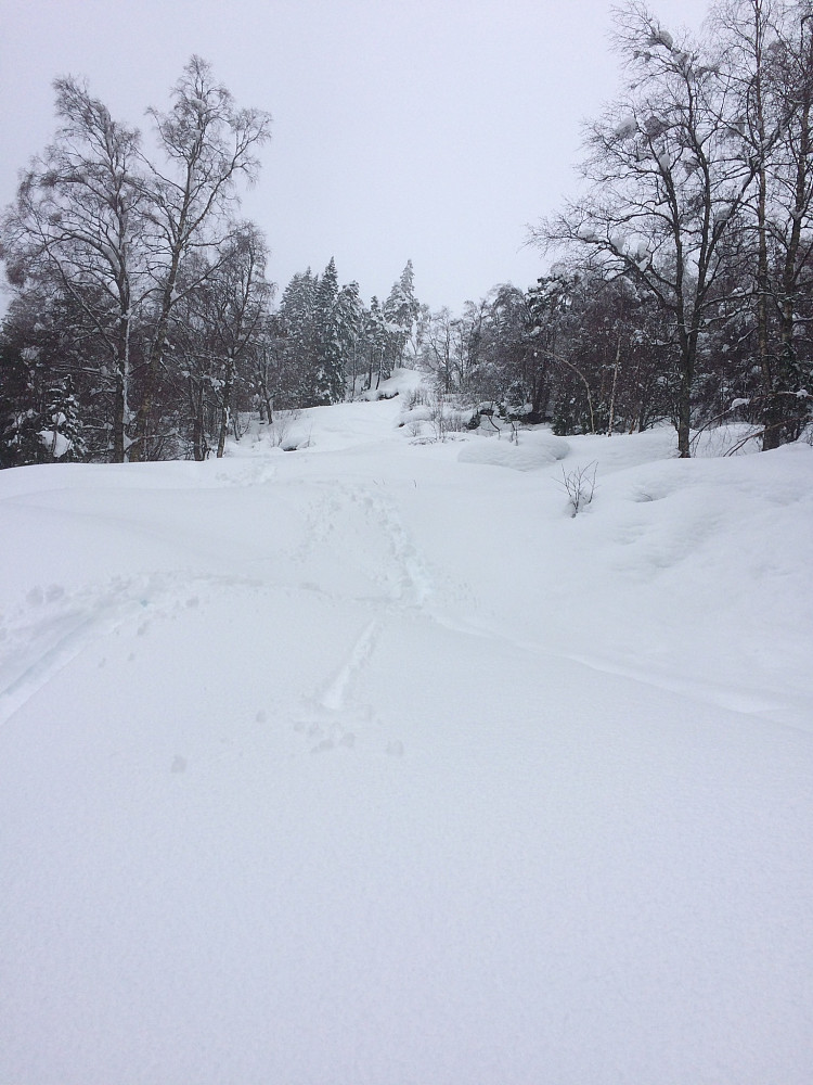 Herlige forhold til tross for litt rulling ;-)
