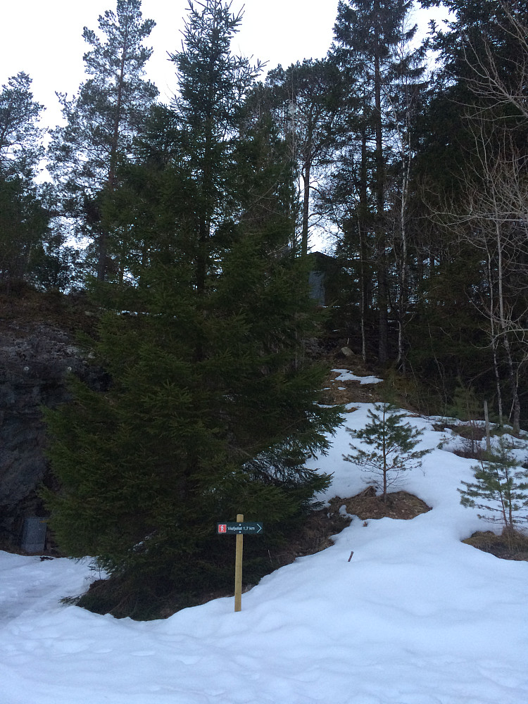 Stistart øverst i Vieåsen