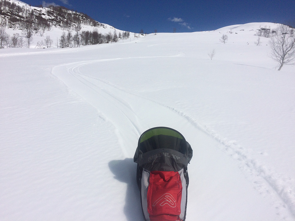 Fin snø for pulk og Telemark :-)