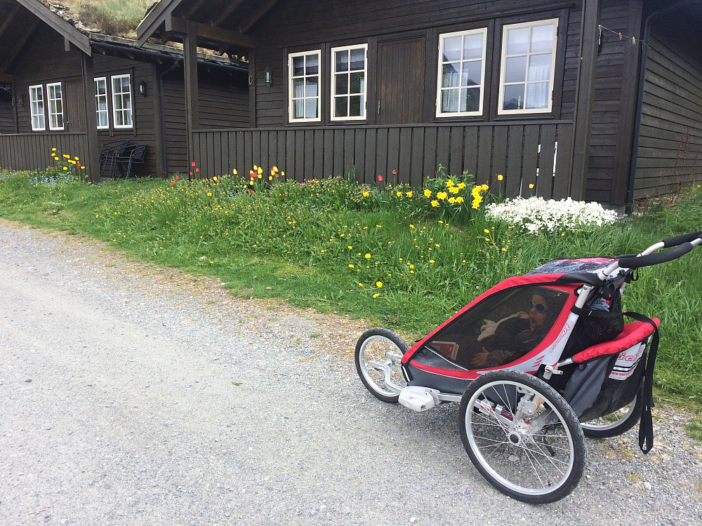 Frodig ved campingen