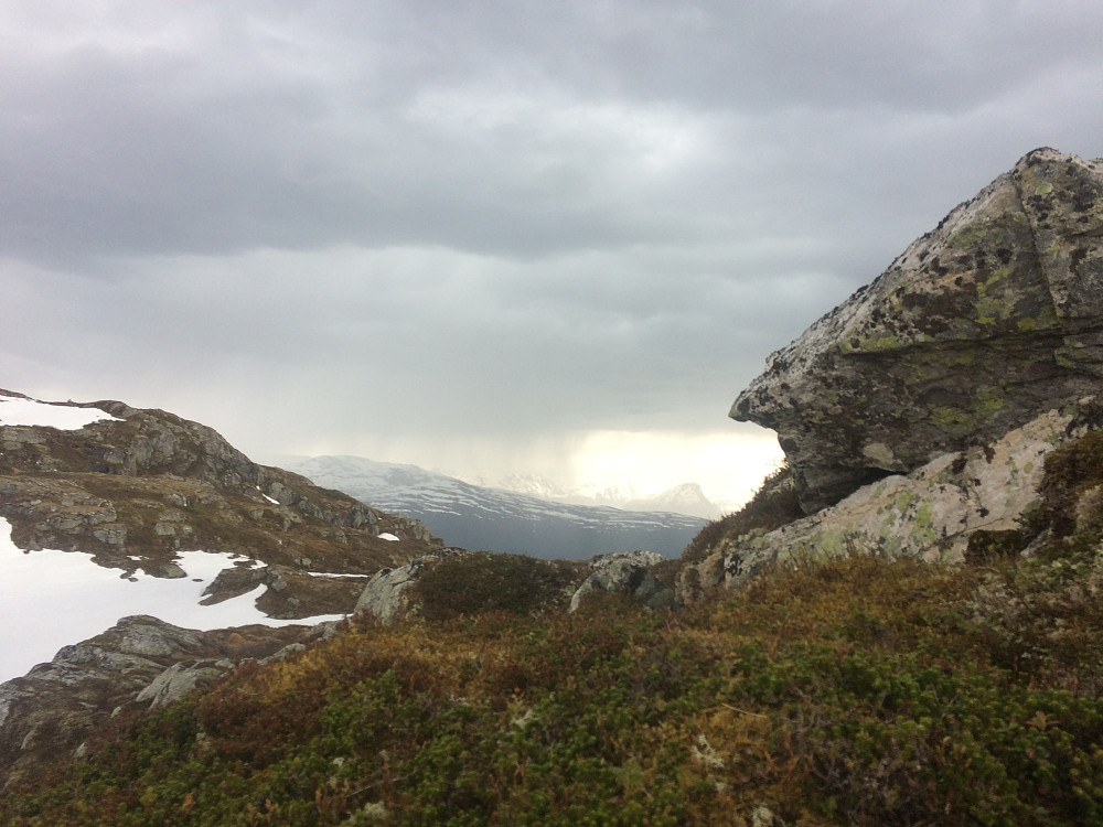 Ikke helt høy i hatten men bilde må en ha....
