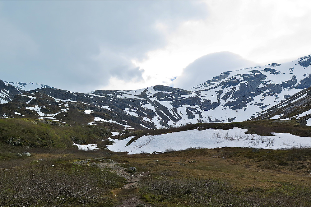 Brattebakkene, lite snø igjen. Ove og Joso gikk denne turen ved Jonsok i fjor og tok på seg skia ca her...