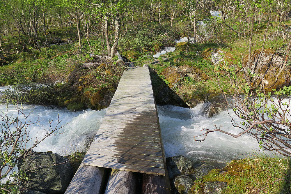 Vannet går nesten over brua