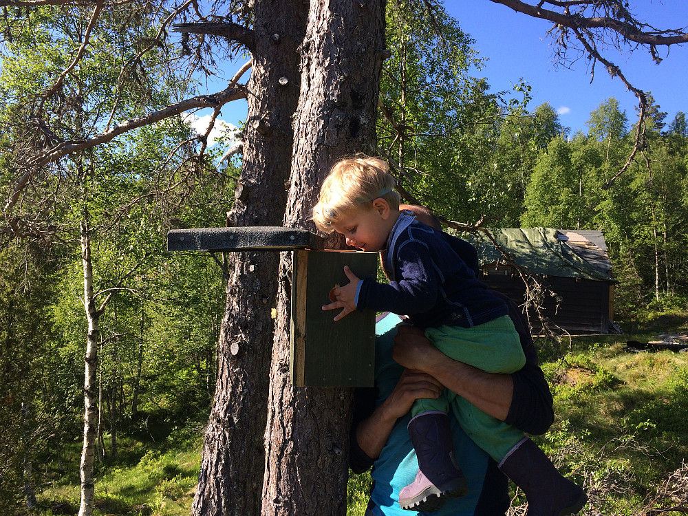 En kjapp og spennende kikk ned i kassa