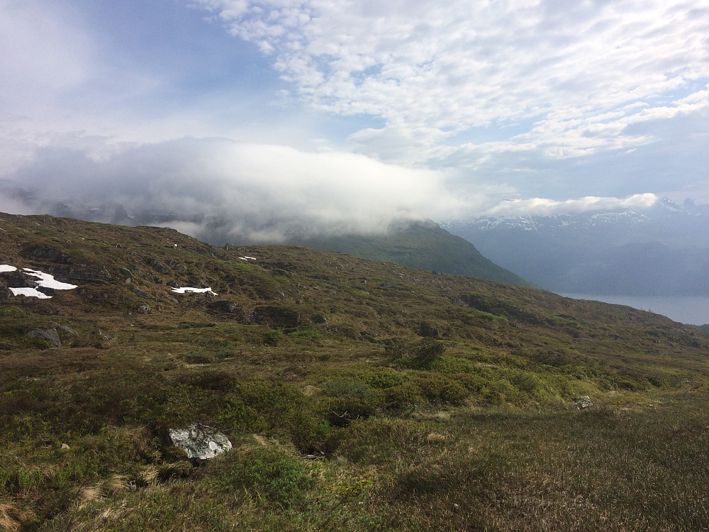 Lotsbergnibba med hart