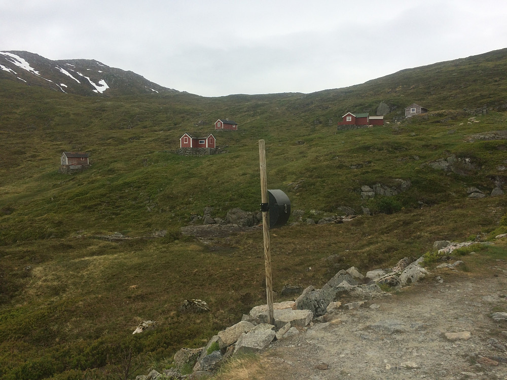 Grått og småregn men mildt og deilig