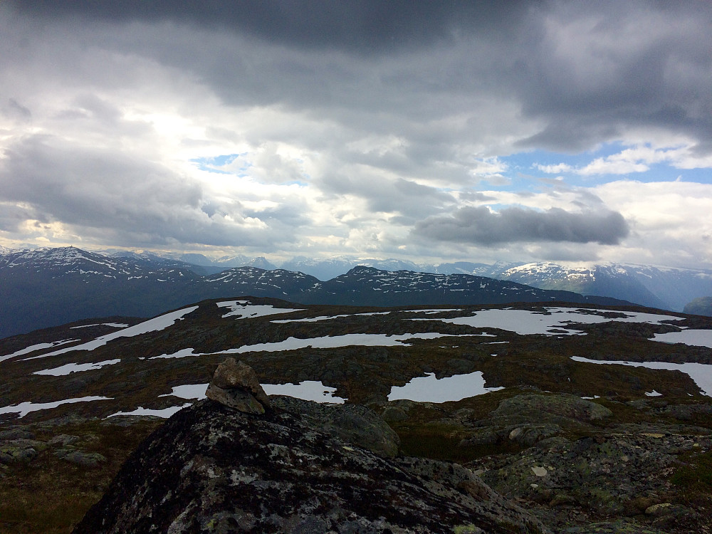 Blåsvednyken 909