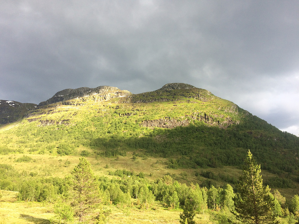 Lotsbergnibba