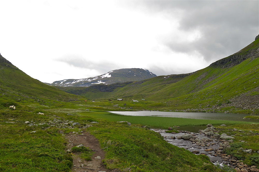 Heimstevatnet mot Megardsstølen