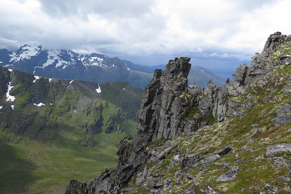 Flotte fjellnabber opp sørryggen