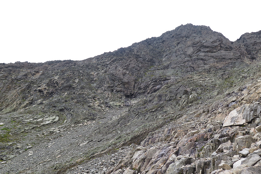 Oppi ura på ca 1200 meter beiter sauer, gudene vet hva de eter på...