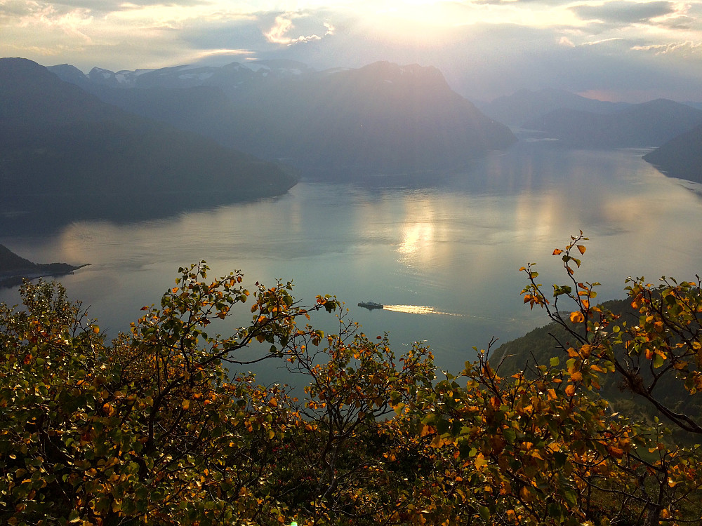God reklame for Fjord1