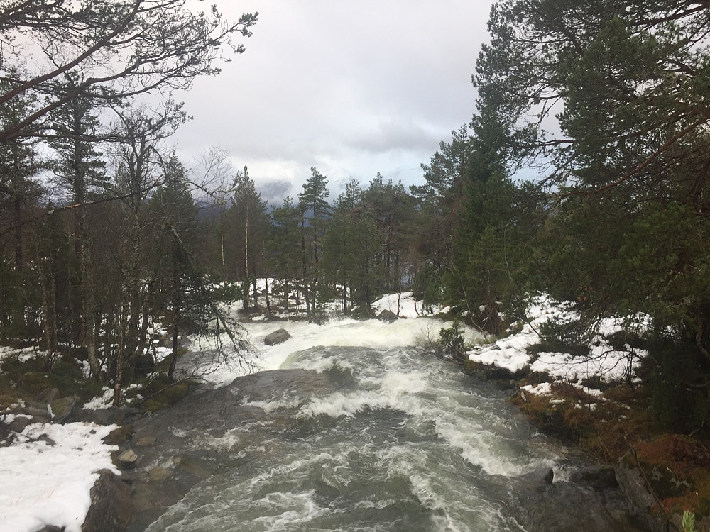 Super stor Lotsbergelv