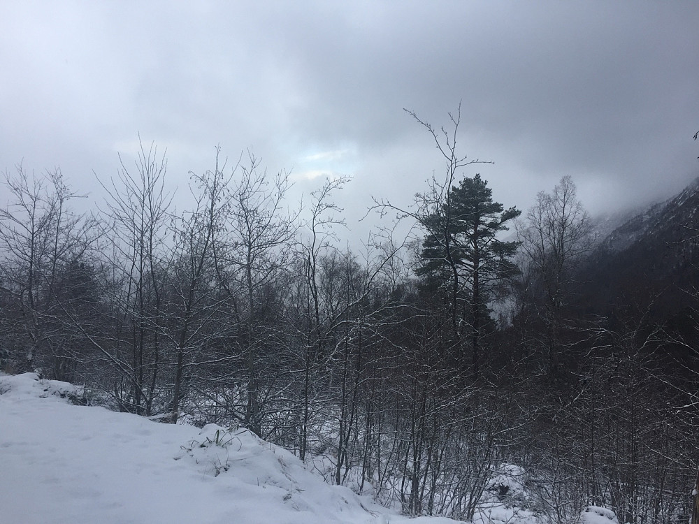 Kan til og med skryte av å ha sett tegn til blå himmel! 