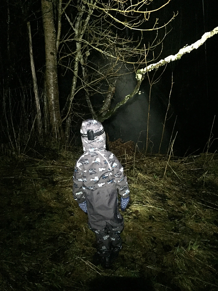 Fossen er stor og brølende - holder oss på avstand 