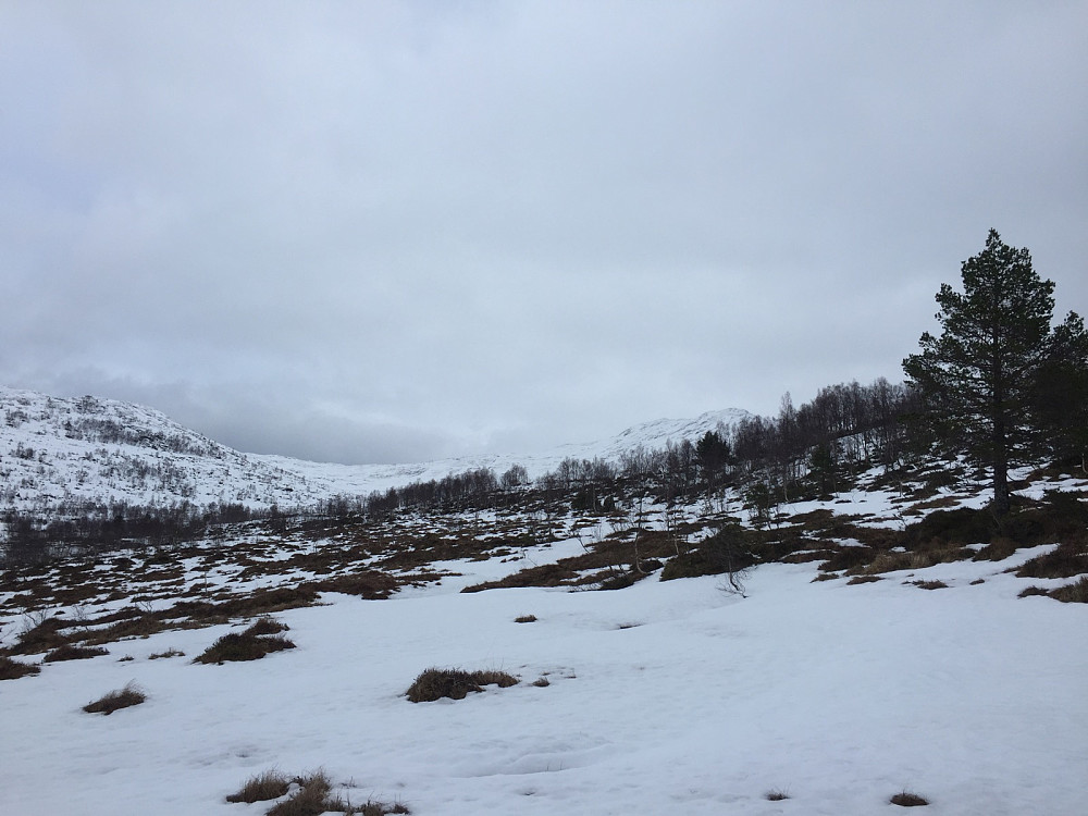 Vårlig fornemmelse med slike snøforhold opp Lotsbergdalen