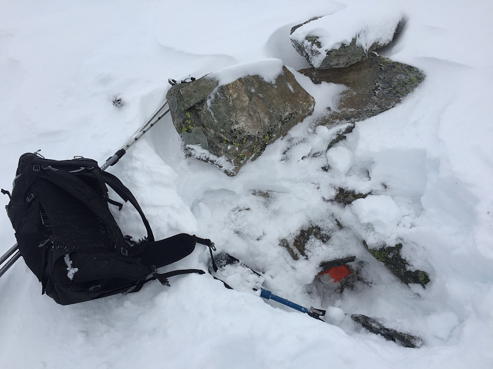 Fremgraving av boka