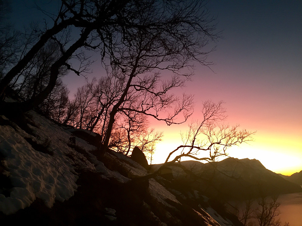 Fantastisk klar og varm himmel i slutten av Januar !!!