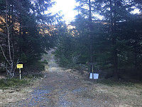 ligroenb_20170205_589720b3c597e.jpg