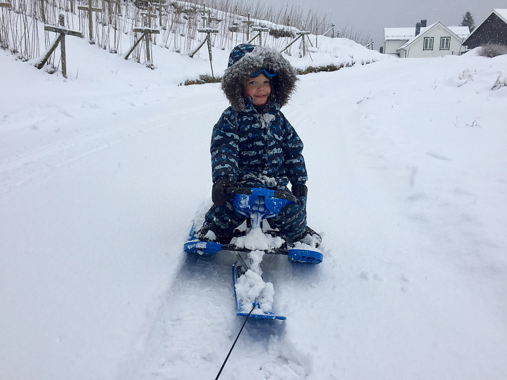 Glad gutt i snøen igjen !!!
