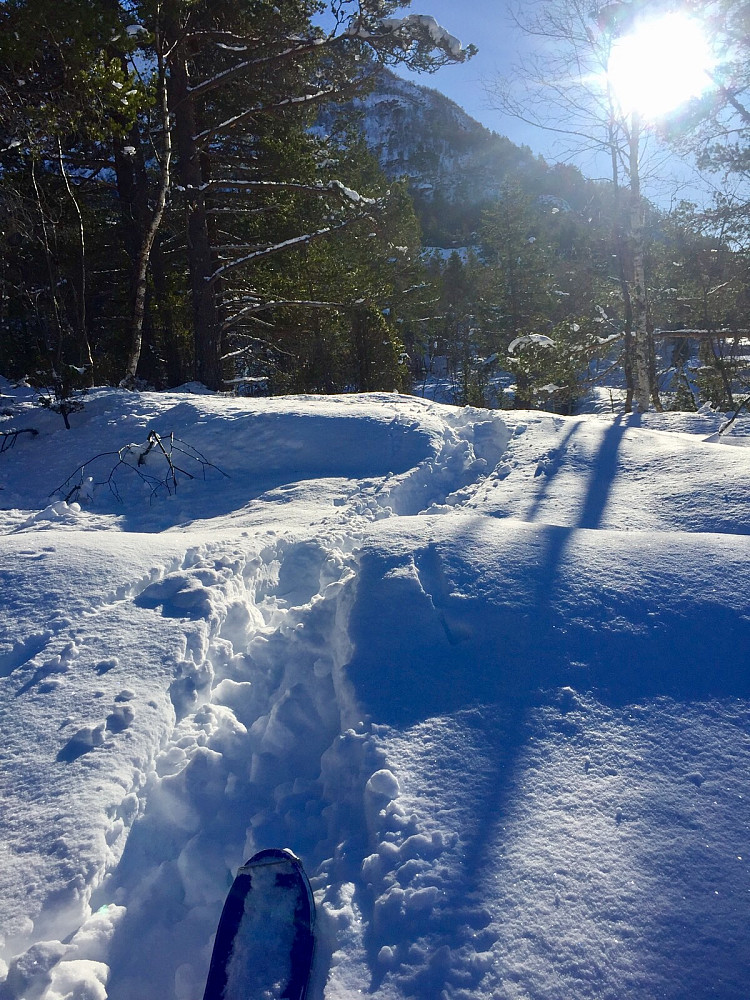 Flott snø og greit å følge i gårsdagens trugespor mot Nibba iallfall i nedre del
