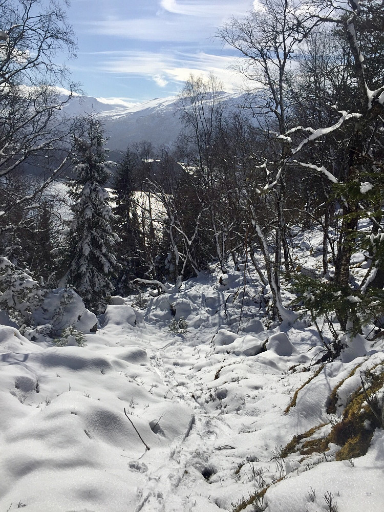 Litt glissent med snø på vei ned Ljøskaret, skia av et lite parti her :-) Men rant etterpå nesten helt hjem - deilig !