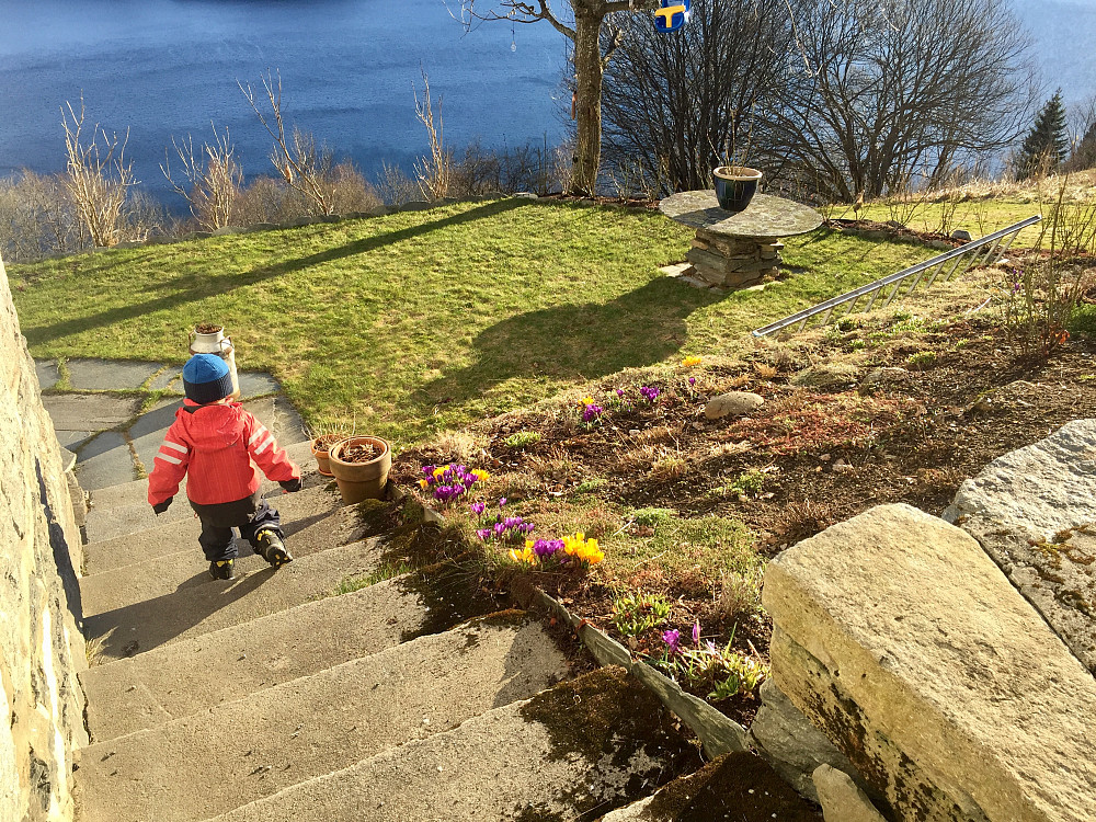 En stk fin og solrik dag og det blomstrer og grønnes 