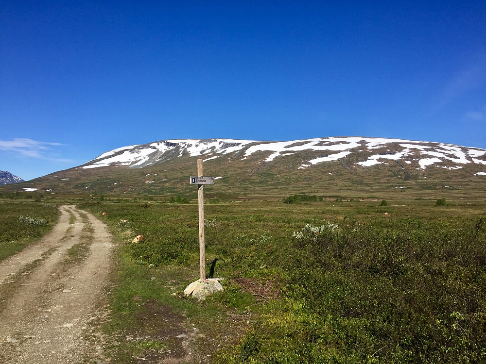 Stistarten fra omlag 500 meter etter Jøldalshytta, merket Resvatnet