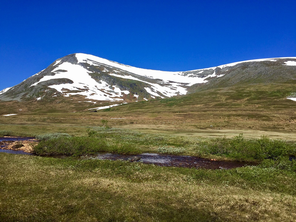 En av dagens mange elvepasseringer. Her den siste før jeg endelig kunne så smått begynne på stigningen opp mot Rindhatten via østryggen