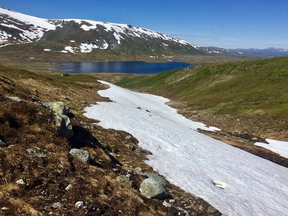 Fant en mye bedre vei opp over skaret på returen, i kant av snøfeltene og dermed fast og lav vegetasjon 