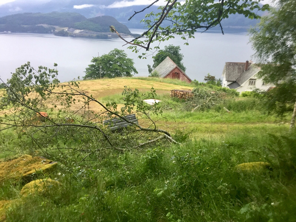 Naboen har felt noen trær, et sv dem rett over starten av stien oppover mot støylen....hmm. 
