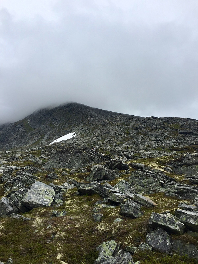 Fra Heimste Blåhornet mot dagens siste topp, Løfonnfjellet
Her siste del av den sleipe og noe dryge ura