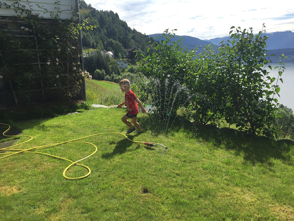 Vassleik i Hagen med Vinjar